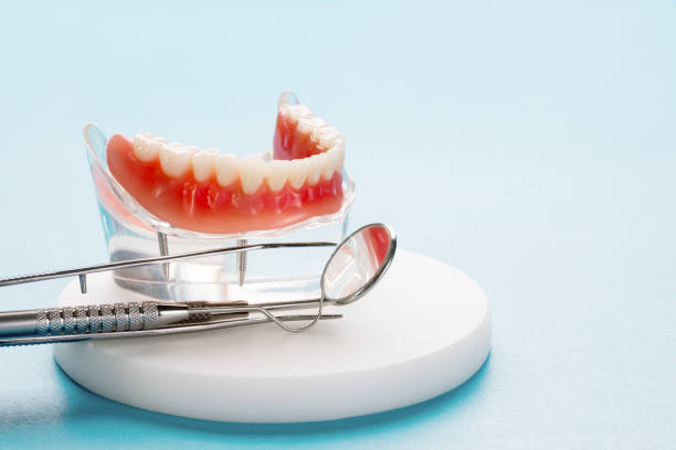 Best General Dentistry  in Elma, WA